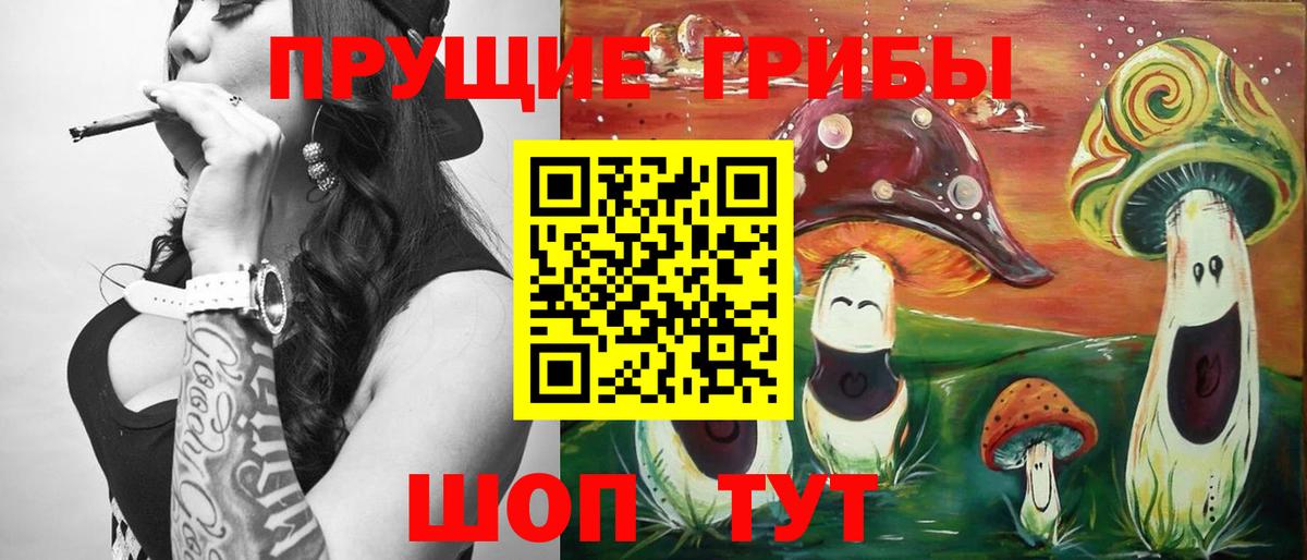 Псилоцибиновые грибы Psilocybine cubensis Елец