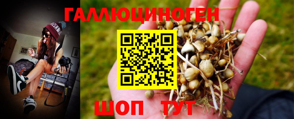 Галлюциногенные грибы GOLDEN TEACHER  Вход с VPN  Елец 